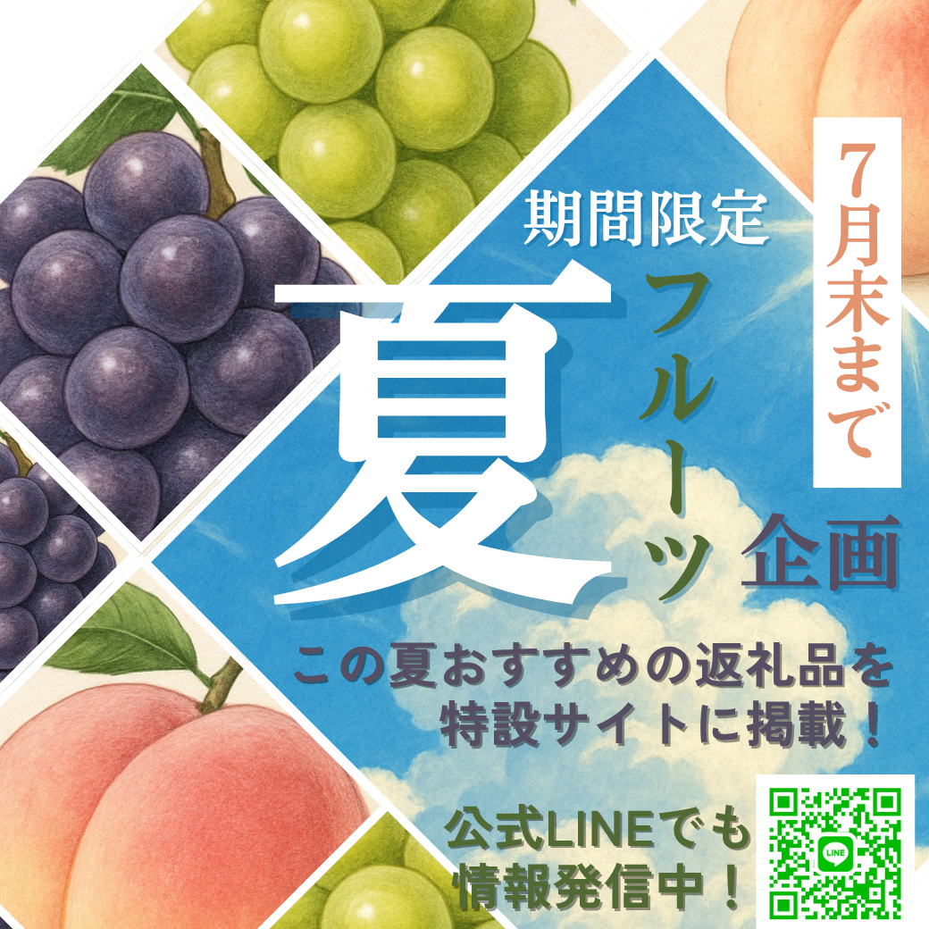 ふるさと納税２０２５夏