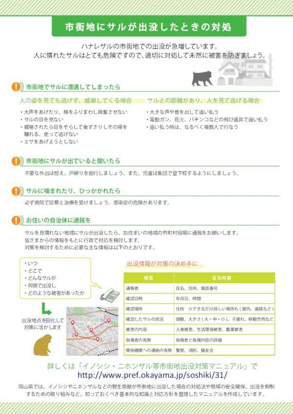 サルに遭遇