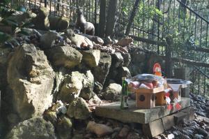 田倉牛神社４