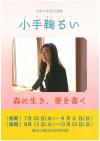 図録「小手鞠るい」