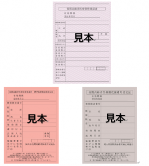 後期高齢者医療保険デザイン見本