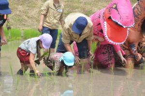 田植えまつり