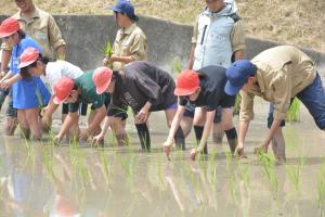 田植えまつり