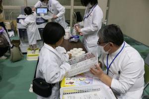 まんなかフェスタ