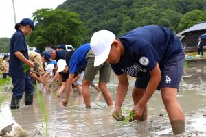 田植えまつり