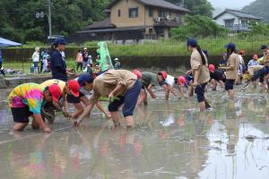 田植えまつり