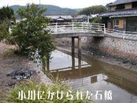 石橋の写真