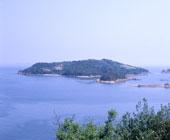 鶴島の写真1
