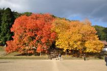 第2回 備前楷の木賞の画像3