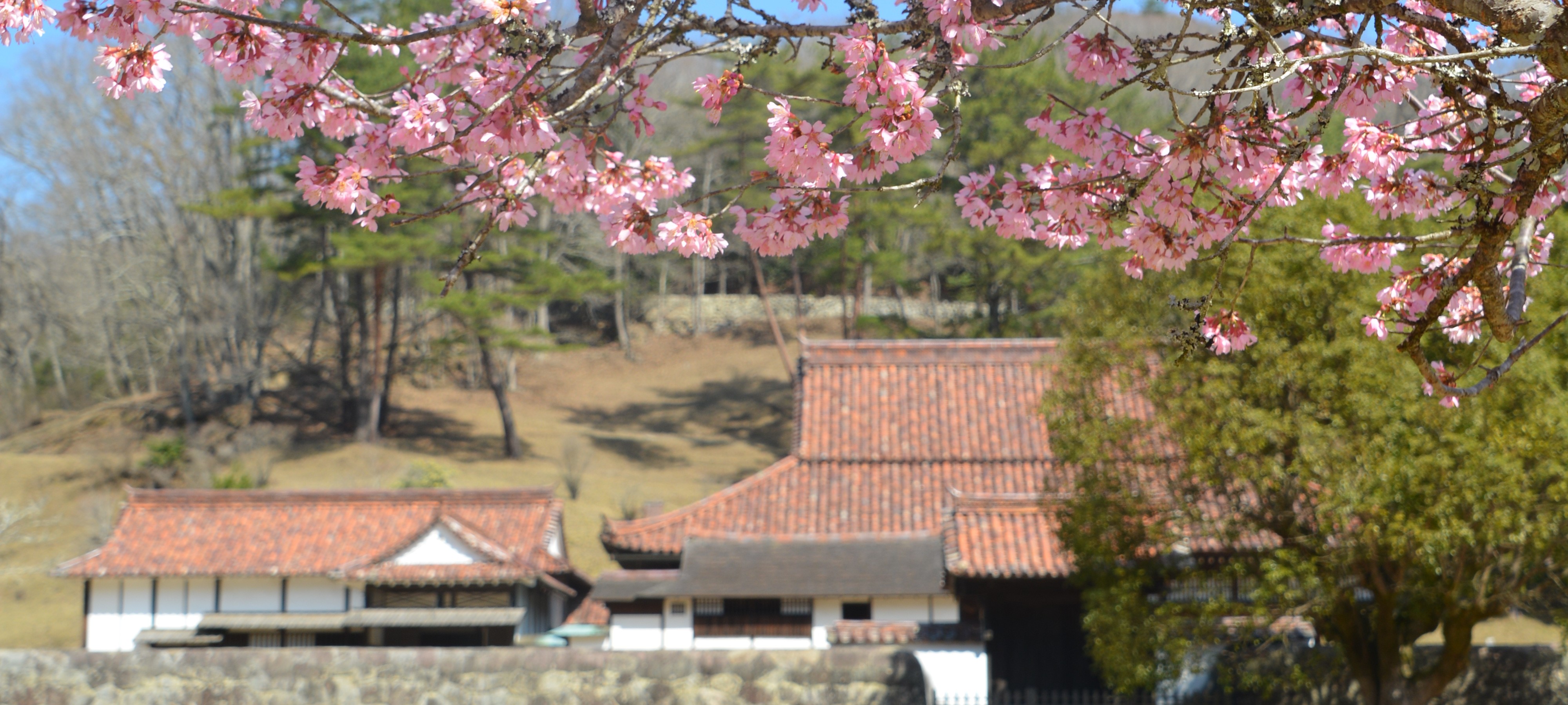 広報びぜん令和2年4月号